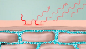 moisture leaving the skin_in article image